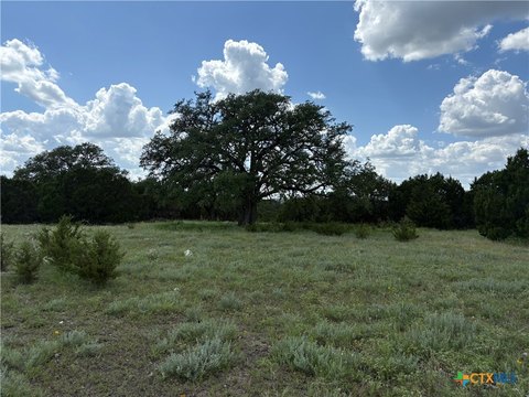 Texas Land with Pond View
