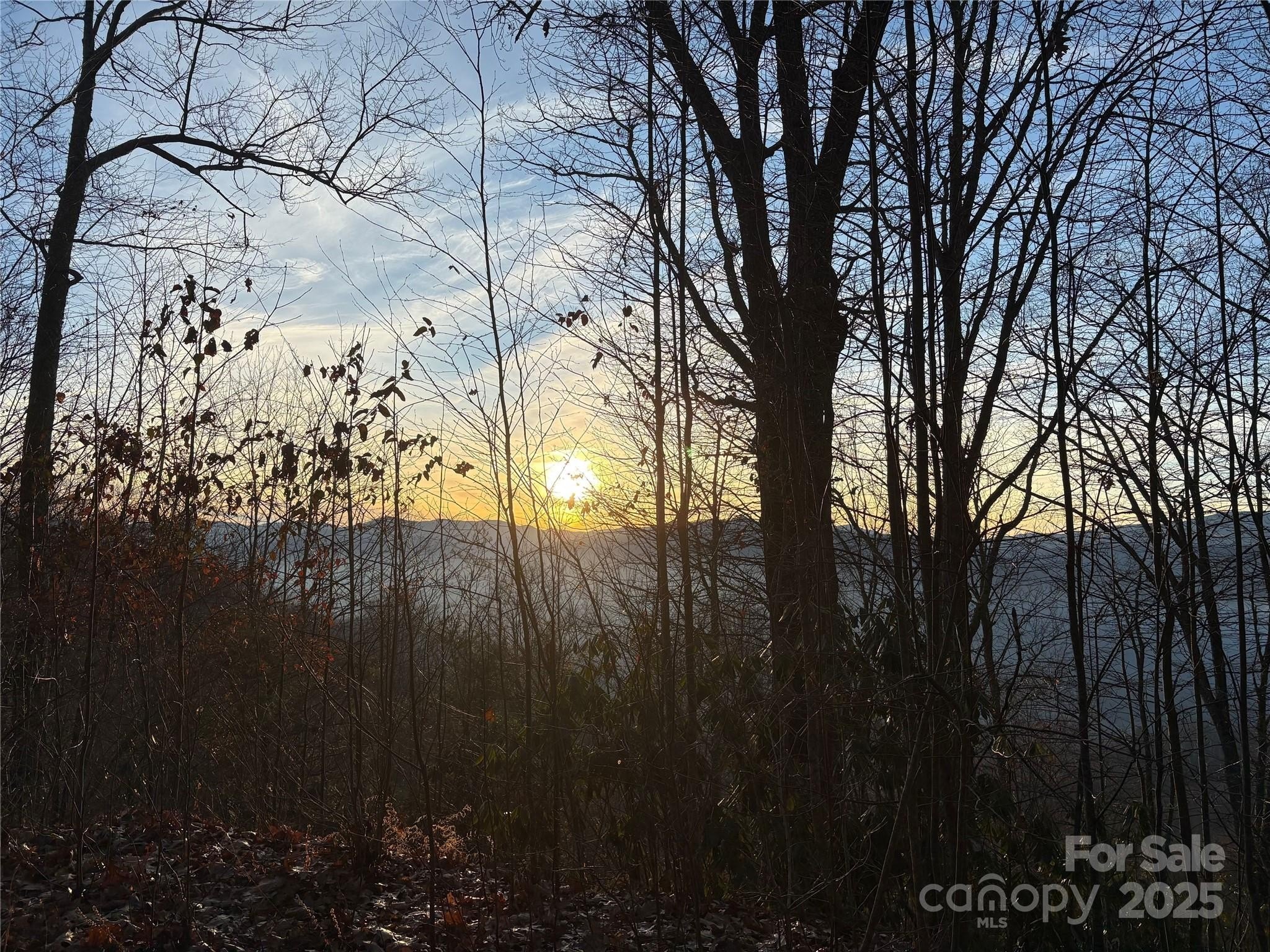 Clyde, NC Buildable Land