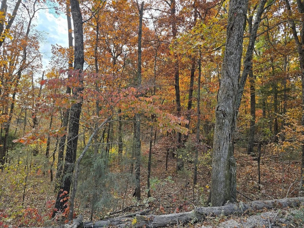 Picture 3