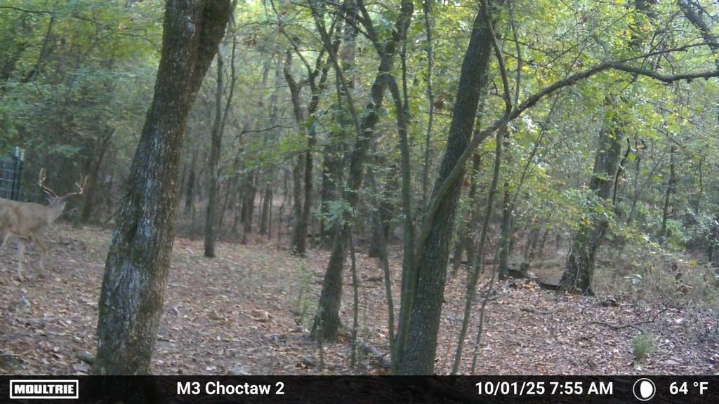 Picture 3