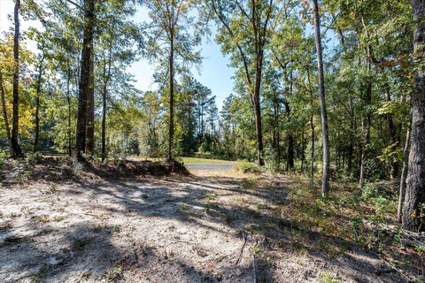 Walterboro Homesite with Utilities Ready