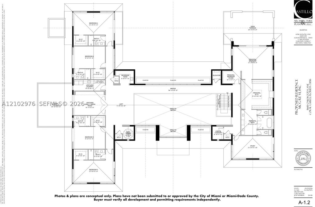 Picture 6