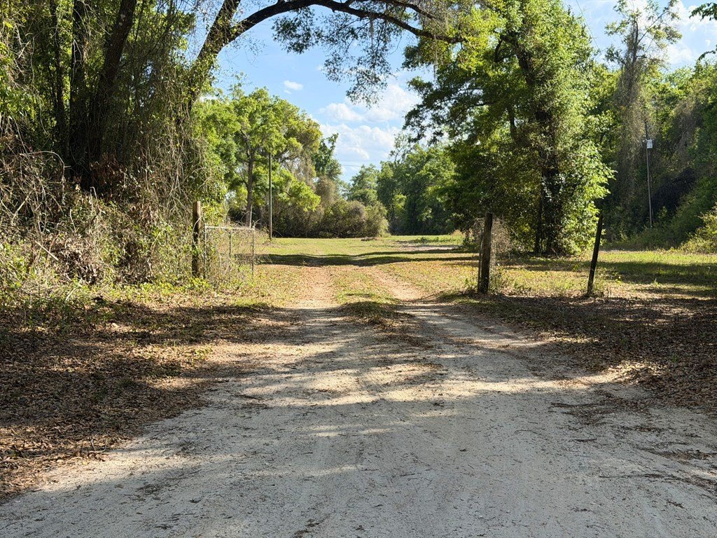 Picture 17