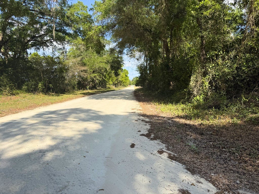 Picture 19
