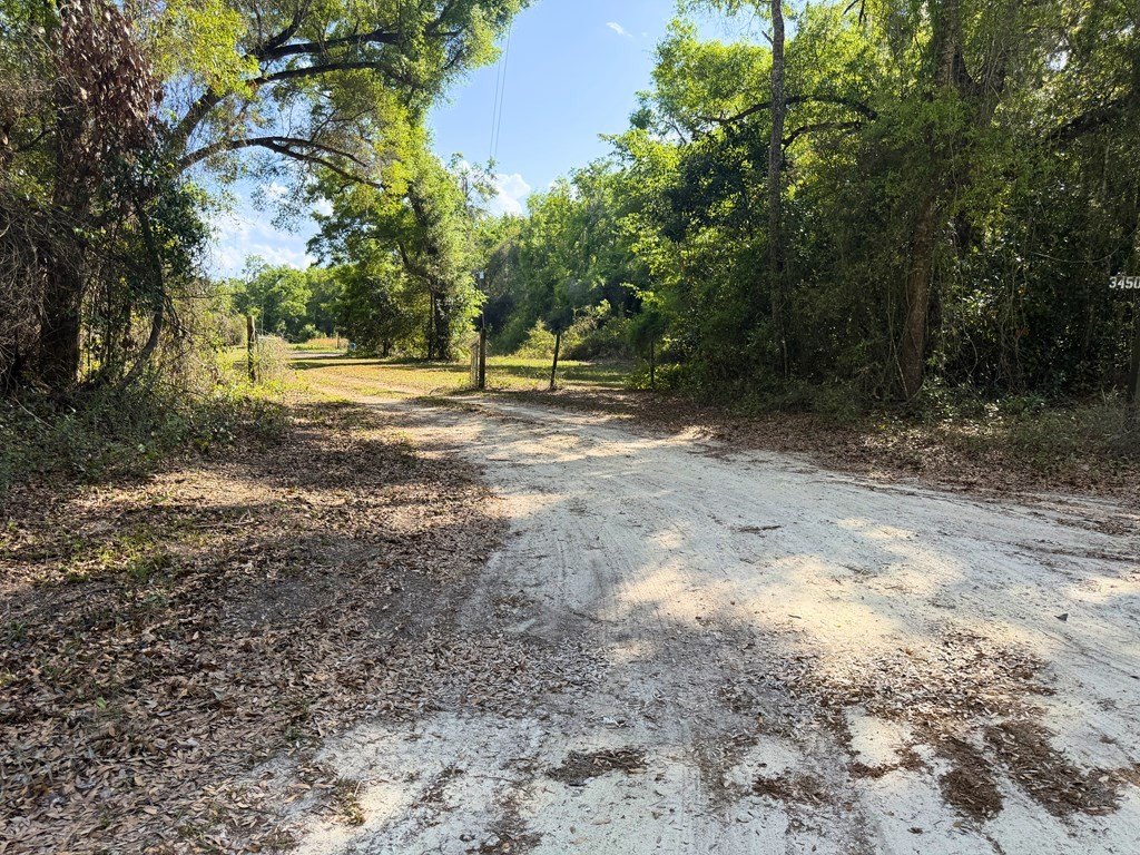 Picture 15