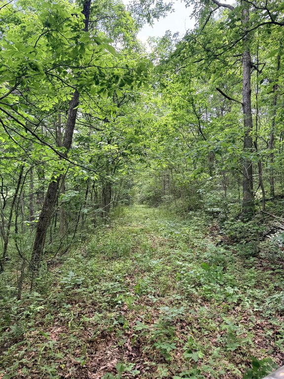 Picture 16