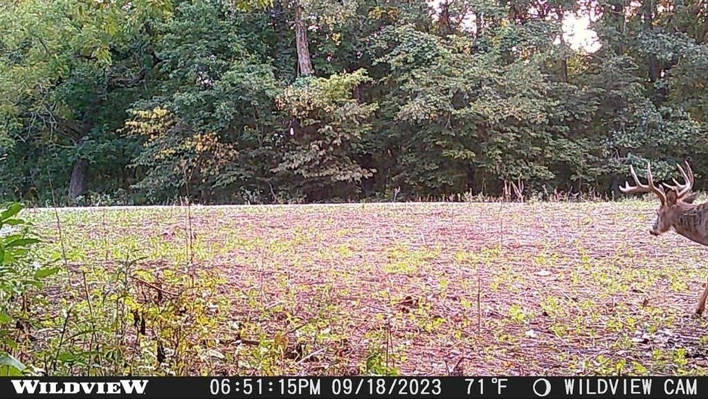 Picture 23