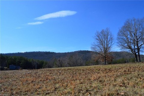 LAND - Danbury, NC