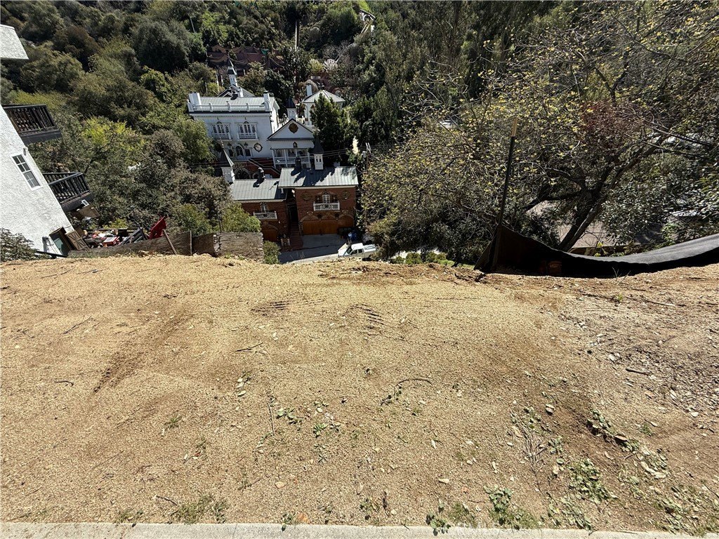 Picture 3