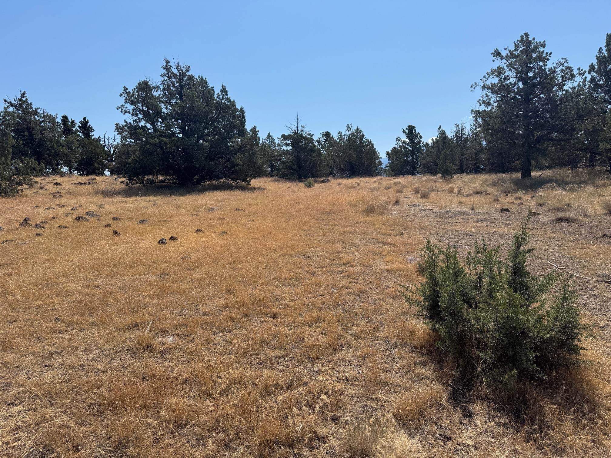 Residential Lot with Lake Views