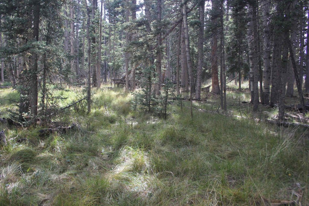 Picture 6