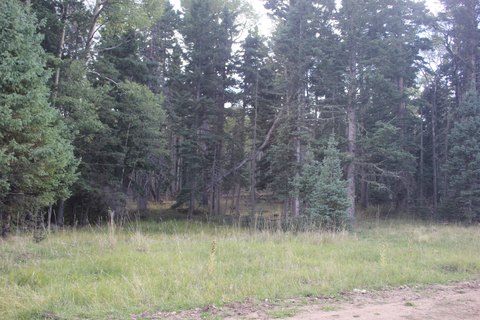 Land, Black Lake, NM