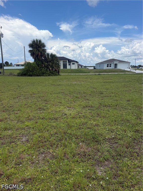 Picture 5