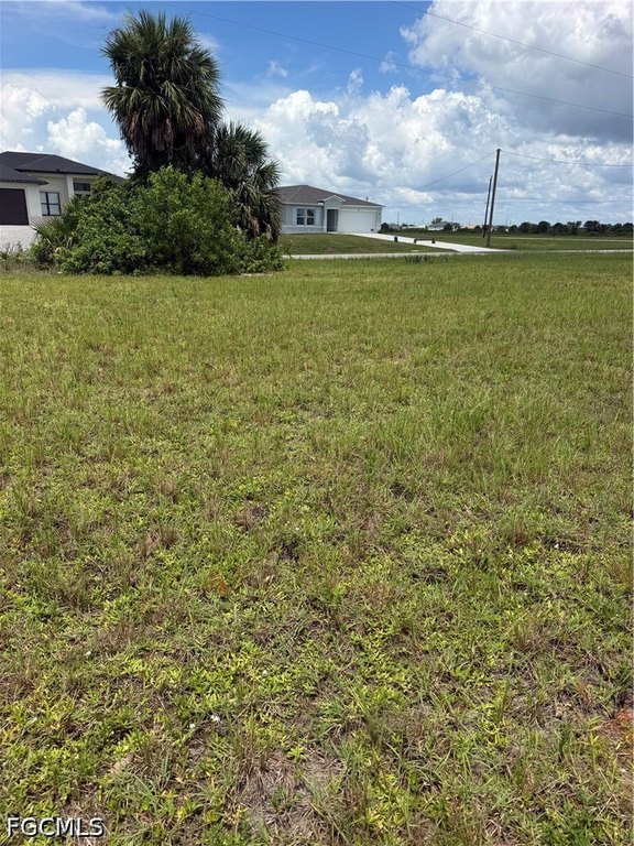 Picture 6