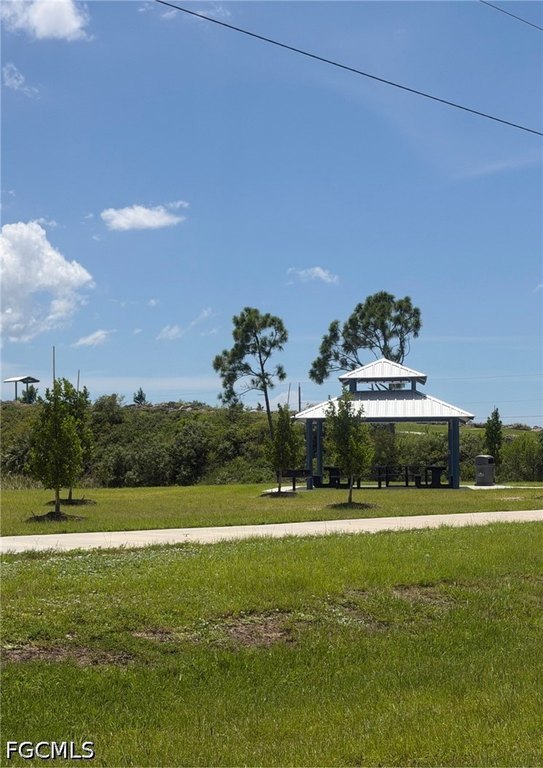 Picture 13