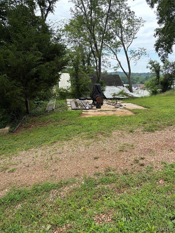 Picture 5