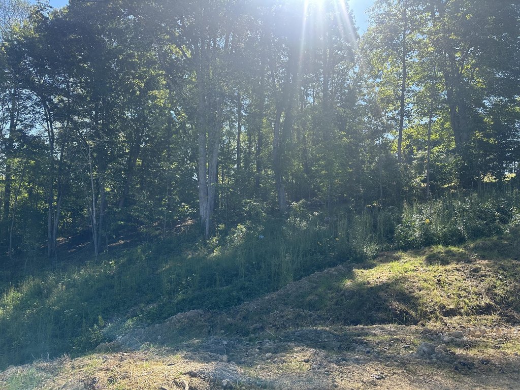 Picture 18