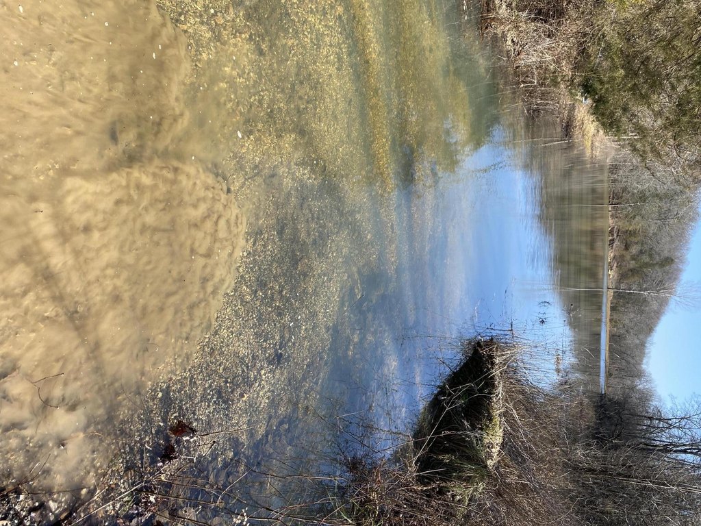 Picture 46