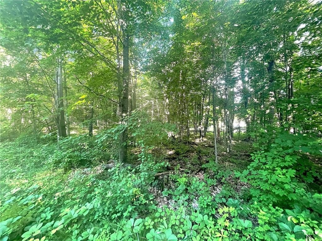 Picture 14