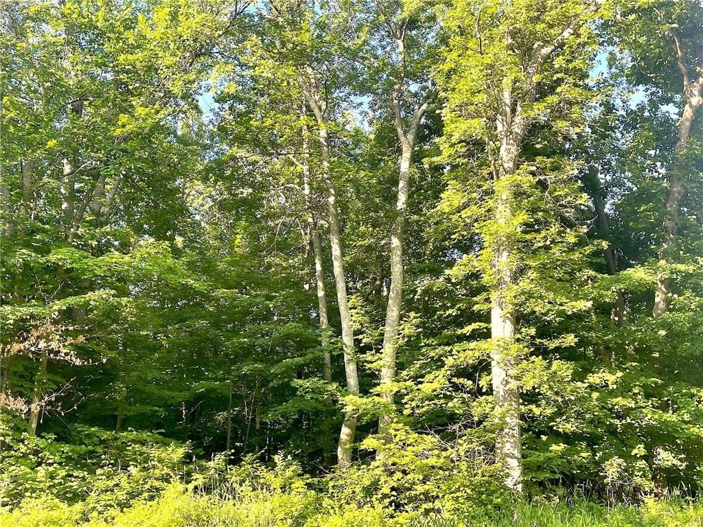 Picture 13