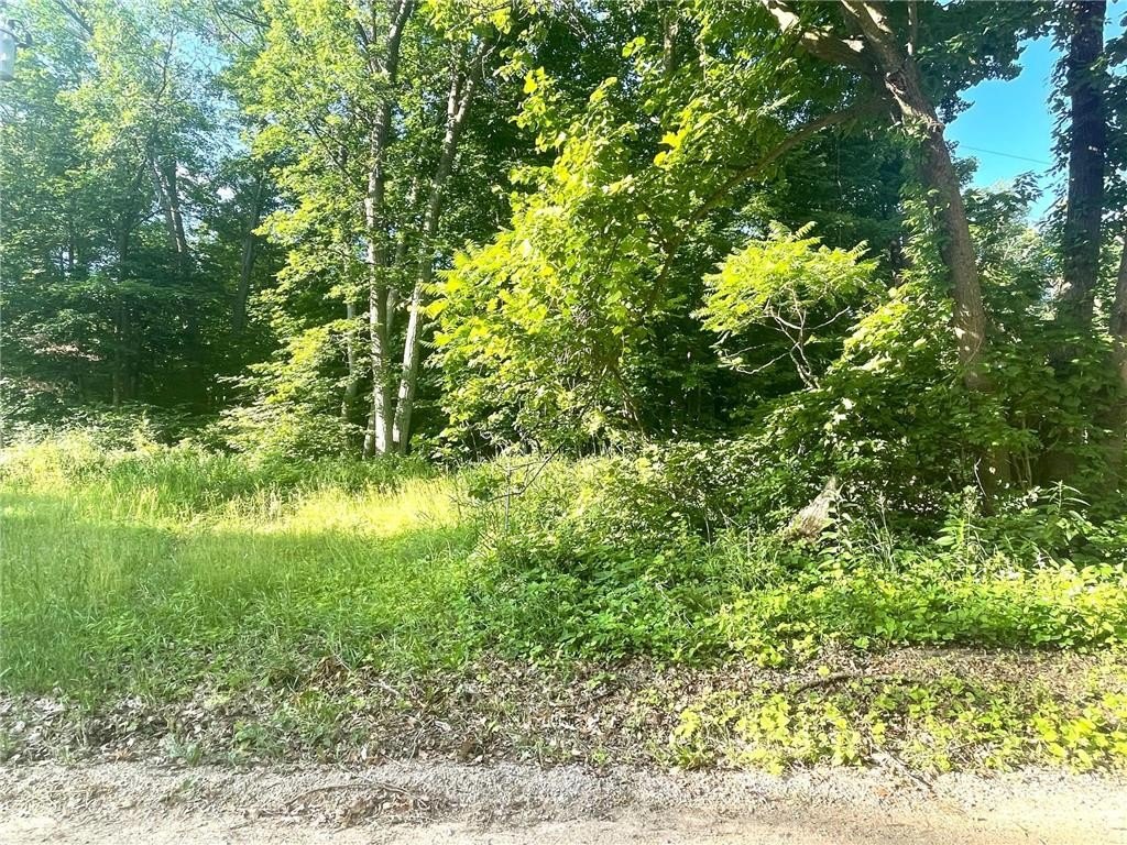 Picture 16