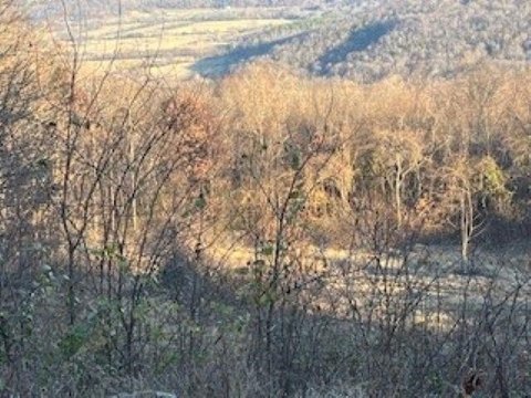 Mountain View Land For Sale