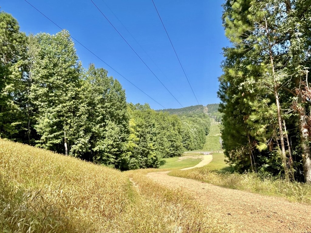 Picture 16