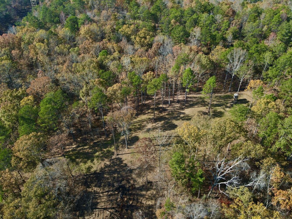 Picture 3