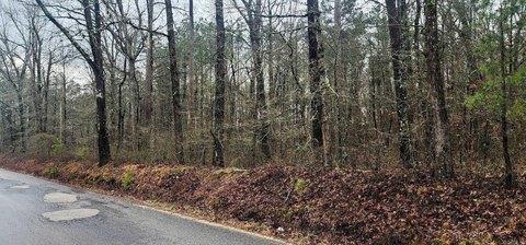 Rison, AR Country Lot