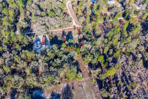 Cleared Lot in Williston, FL