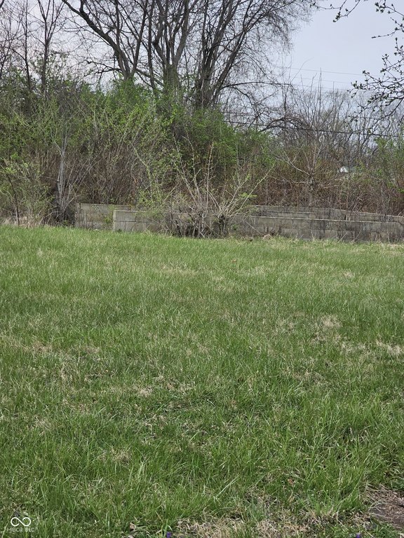 Picture 2