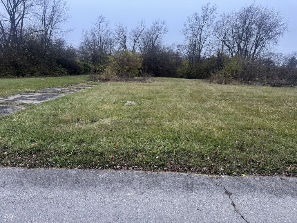 Picture 4