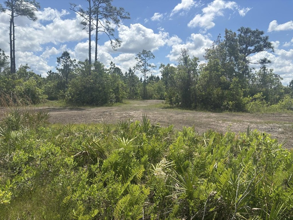 Picture 2