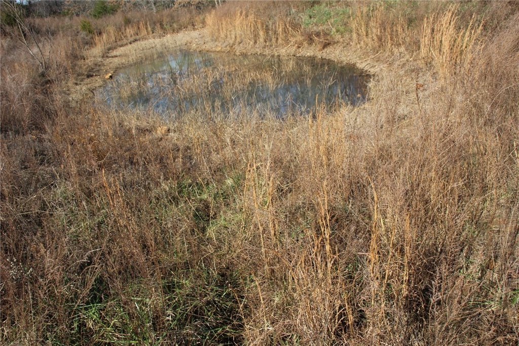 Picture 29