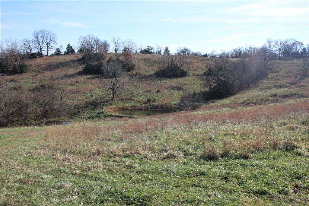 Picture 10