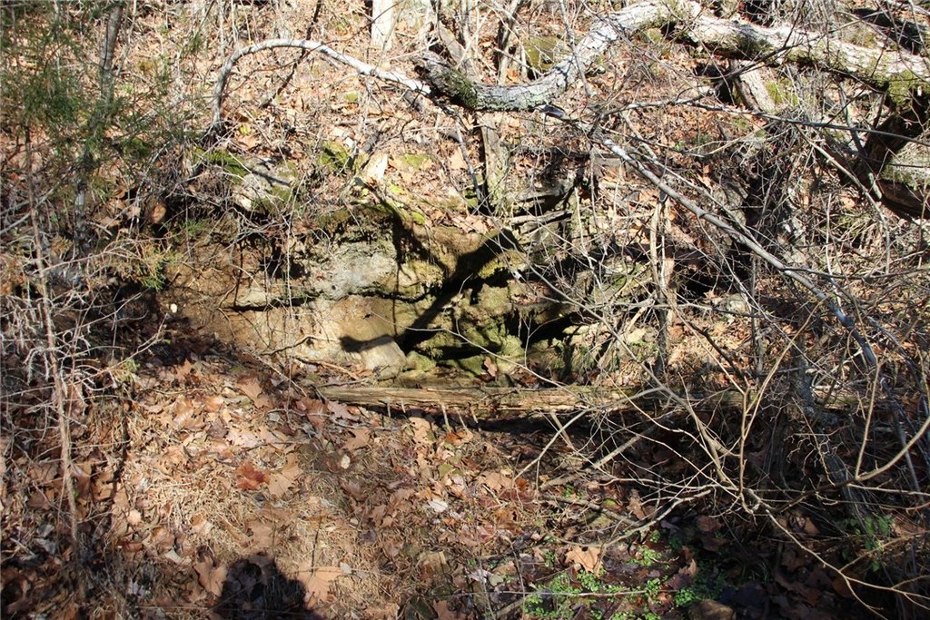 Picture 33