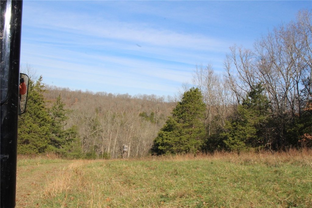 Picture 42