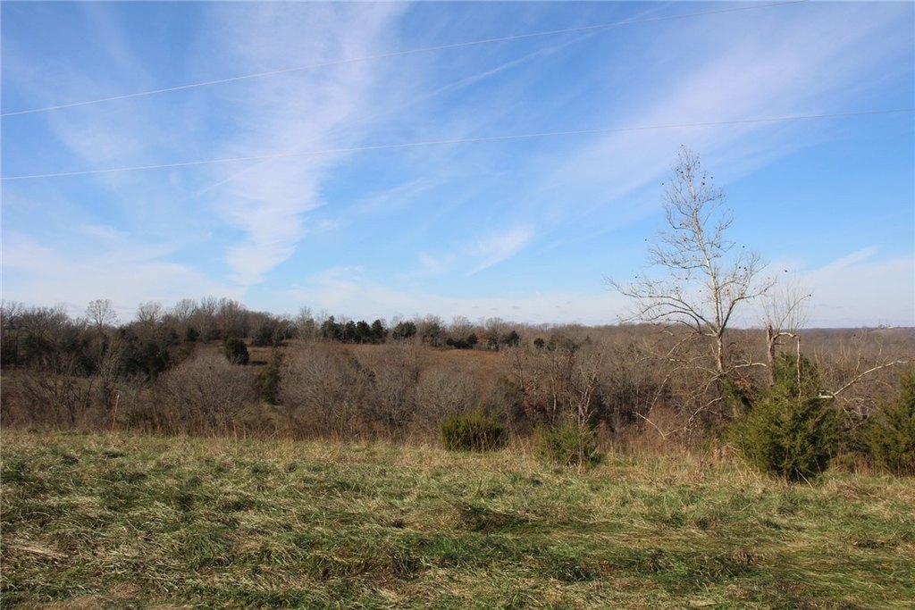 Picture 8
