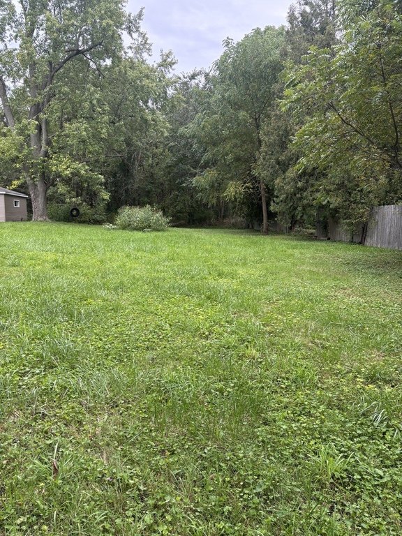 Picture 2