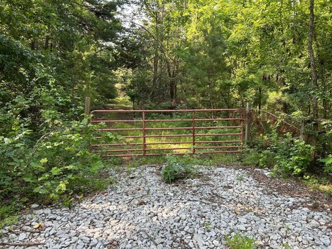 Wooded Hunting Land with Ridge Homesite