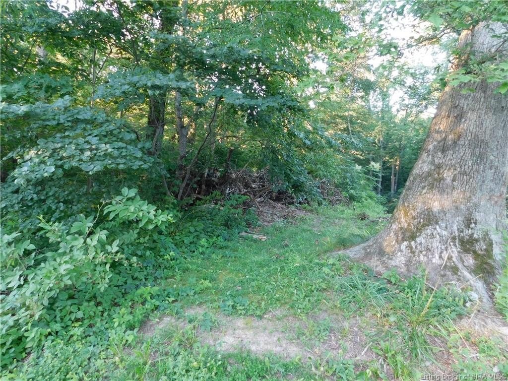 Picture 5