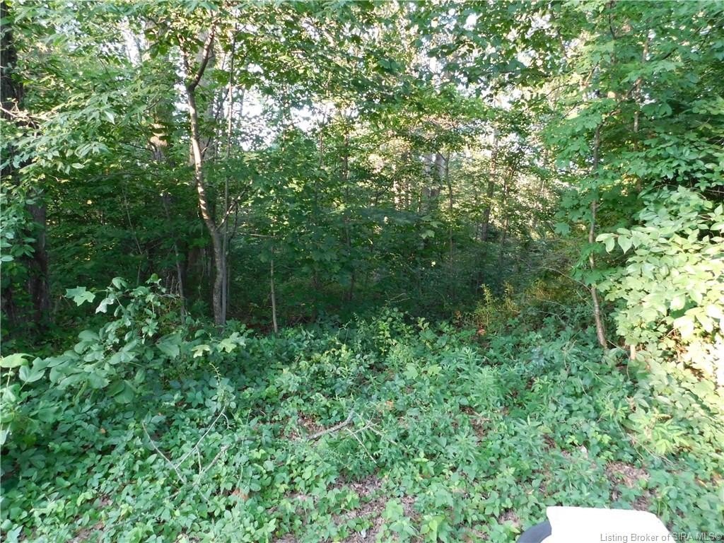 Picture 3