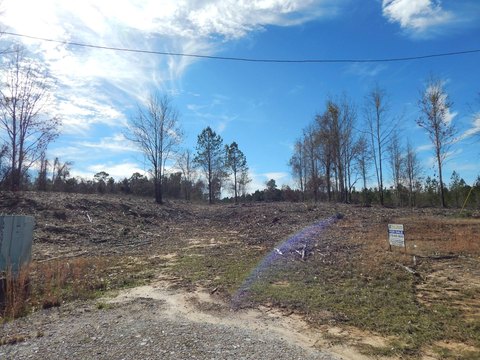 Vacant Land Near Big Bass
