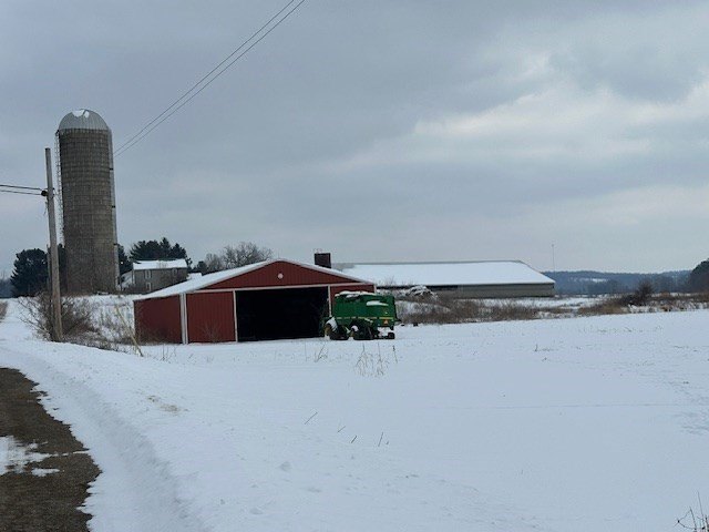 Picture 21