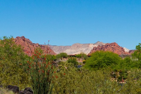 Entrada Lot with Architectural Plans