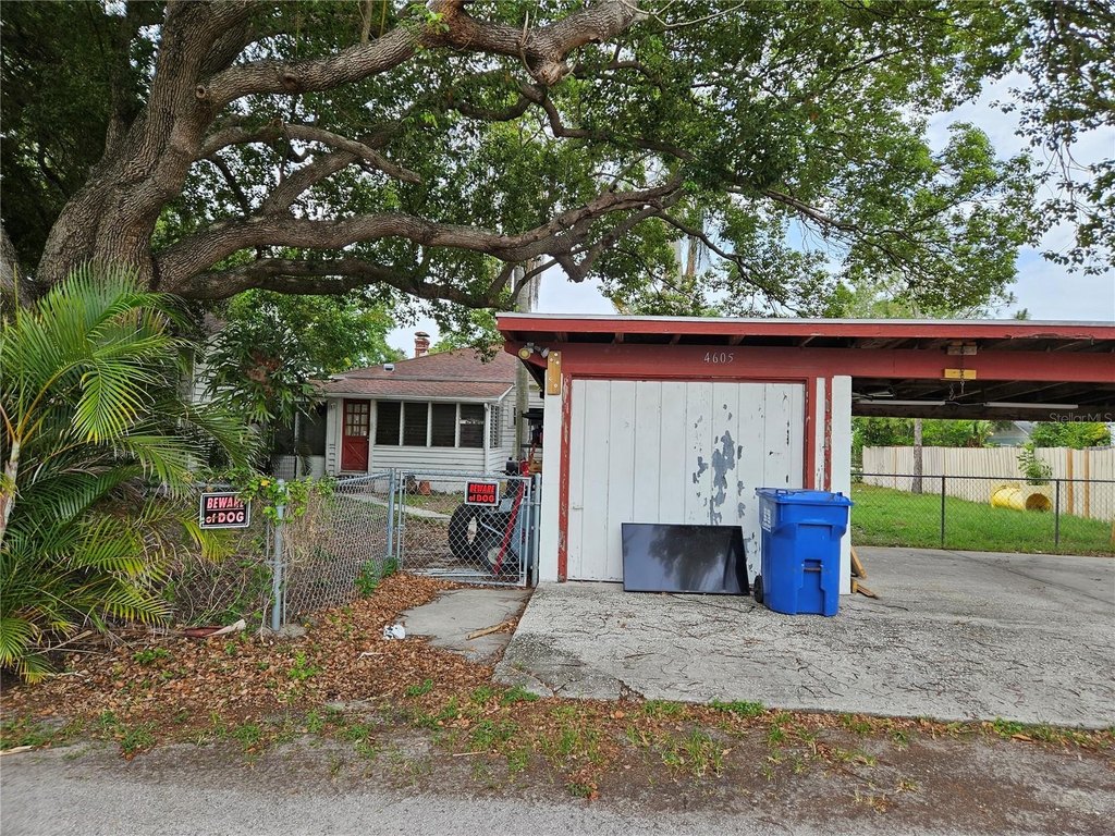 Picture 5
