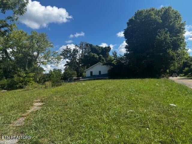 Picture 13