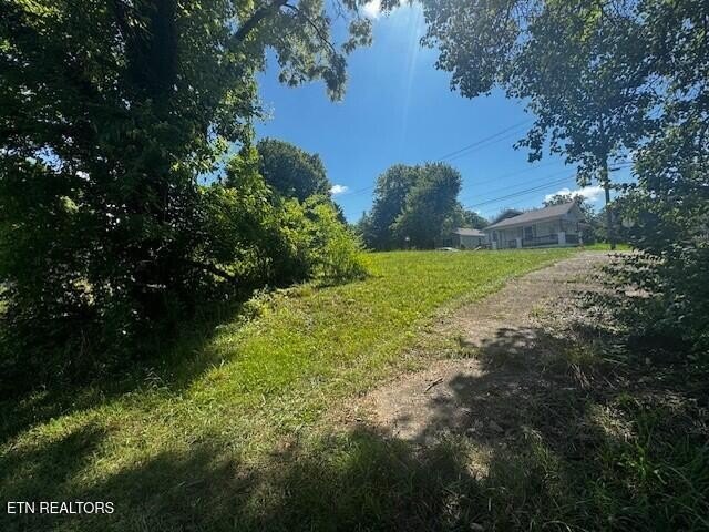 Picture 6