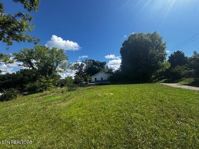 Picture 12