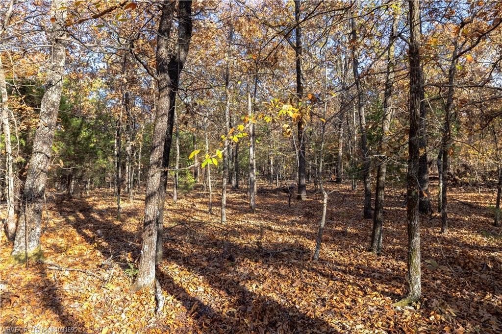 Picture 9